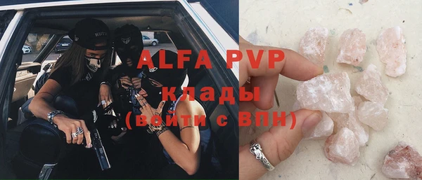 индика Волосово