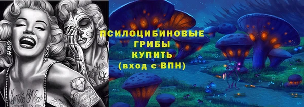 крисы Володарск