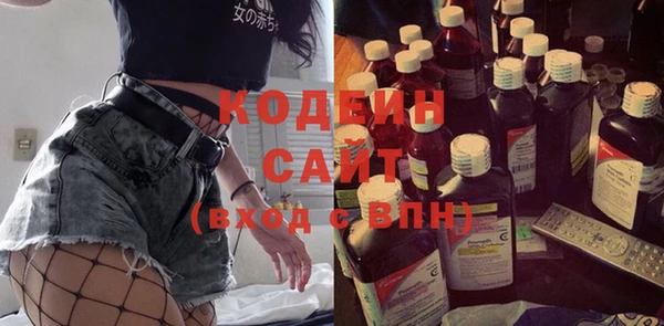 индика Волосово