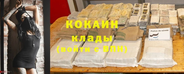 индика Волосово