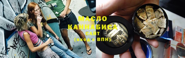 индика Волосово